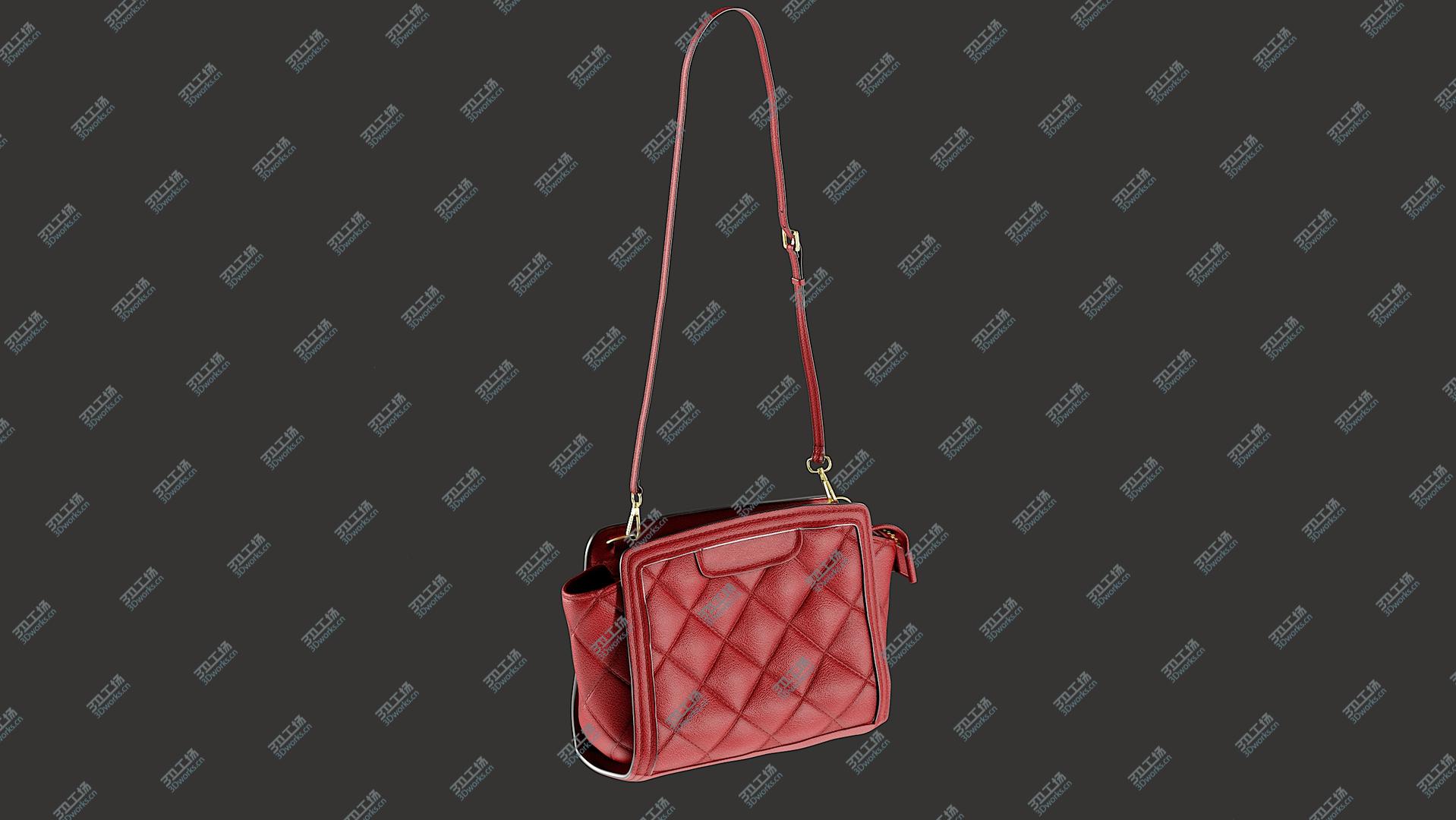 images/goods_img/202105073/Ladies Handbag 3D model/2.jpg
